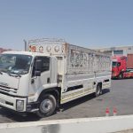 10 ton pickup